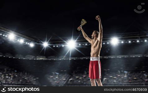 Professional box champion. Professional boxer on arena in spotlights celebrating victory mixed media