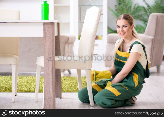 Professional cleaner cleaning apartment furniture