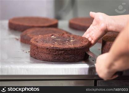 Professional confectioner making a delicious cake in the pastry shop .. Professional confectioner making a delicious cake in the pastry shop.
