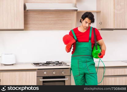 Professional contractor doing pest control at kitchen