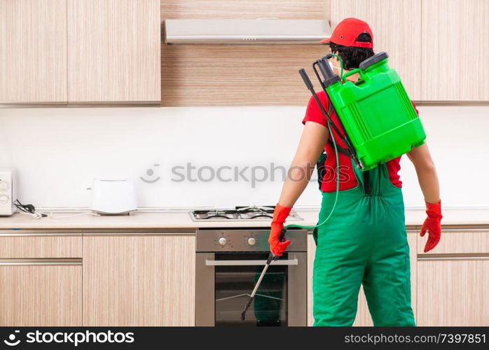 Professional contractor doing pest control at kitchen