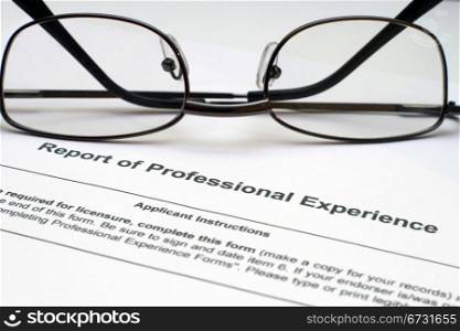 Professional experience form