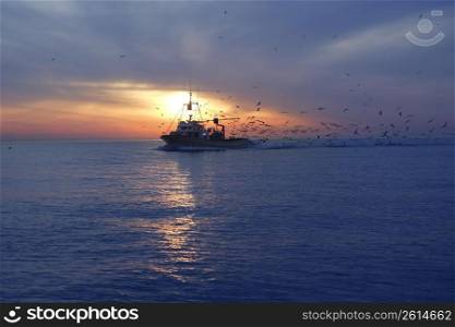 professional fishing boat and seagull turn back port on sunset sunrise