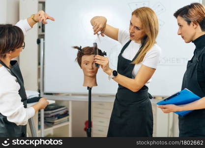 Professional Hairdresser Teaching Adult Students How to Use Hairdressing Scissors during Course in Education Center. Professional Hairdresser Teaching Adult Students How to Use Hairdressing Scissors during Course
