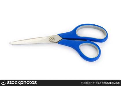 Professional scissors isolated on the white background