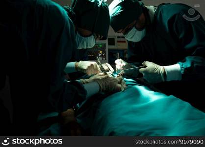 professional surgeon doctor person working in hospital, health care medicine concept