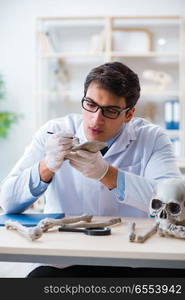 Professor studying human skeleton in lab