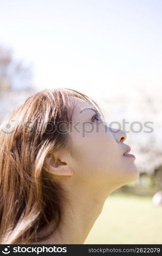 Profile of Japanese young woman