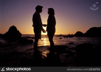 Profile of man and woman holding hands in front of the setting sun at the beach