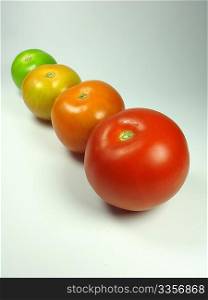 Progress of tomatoes maturing