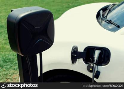 Progressive concept of electric vehicle, EV car alongside with charging station. Natural background of green field for clean environment for eco-car with renewable energy concept.. Progressive concept of EV car with charging point at natural green field scenery