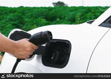 Progressive natural scenic where hand insert charging plug to electric vehicle from charging station with natural background. Future energy concept of EV car powered by sustainable electric energy.. Progressive natural scenic of hand insert charging plug to EV car.