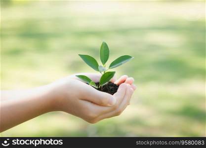 Promoting eco awareness on reforestation and long-term environmental sustainability with boy holding plant or sprout on fertile soil as nurturing greener nature for sustainable future. Gyre. Little boy holding plant to promote eco lifestyle. Gyre