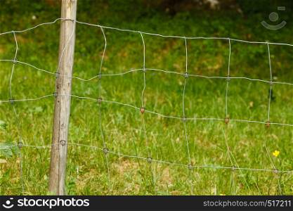 Property security concept. Closeup of metal fence made of thread, green grass in background. Closeup of metal fence made of thread