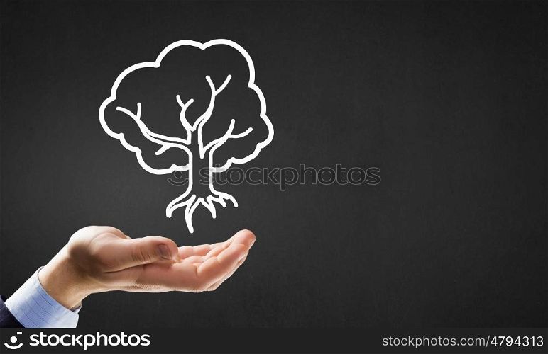 Protect nature. Close up of businessman hand holding drawn tree sign