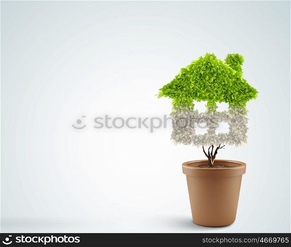 Protect our home. Close up image of hand painting plant shaped like house