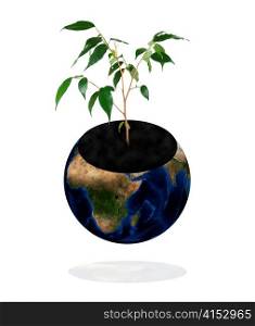 protect the environment concept. Earth with tree isolated on white background.