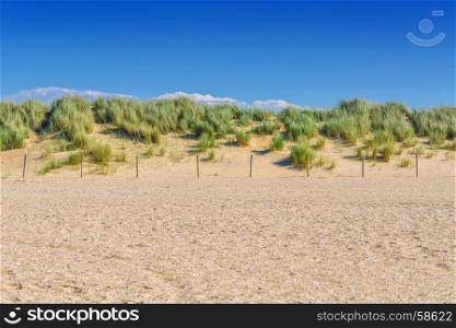 Protected landscape, dune on the beach of Holland in the background blue sky.