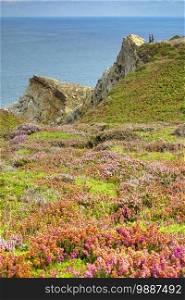 Protected Landscape of Cabo de Penas, Principality of Asturias, Asturias, Spain, Europe