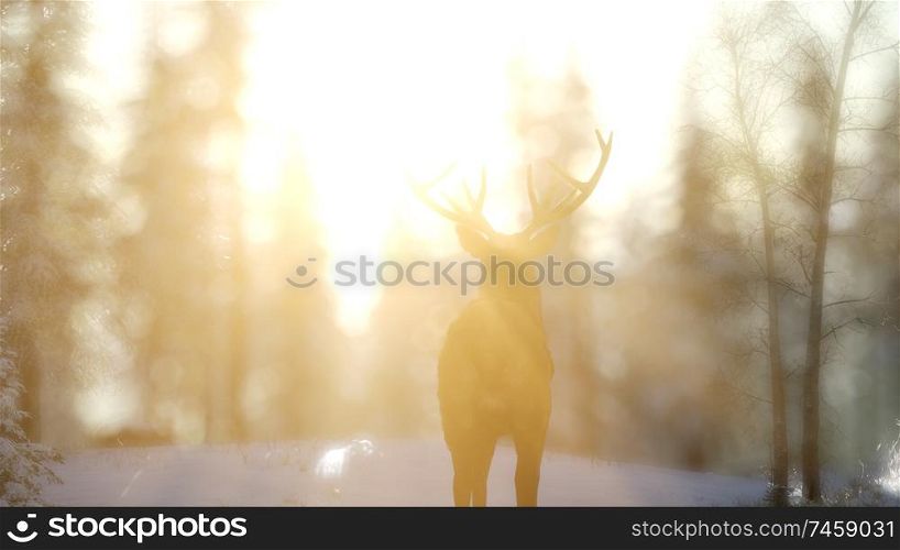 proud noble deer male in winter snow forest in mountains. Proud Noble Deer Male in Winter Snow Forest