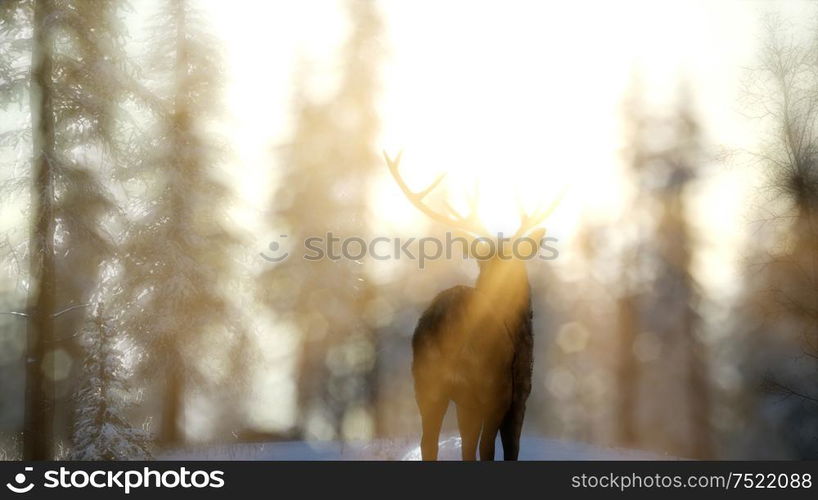 proud noble deer male in winter snow forest in mountains. Proud Noble Deer Male in Winter Snow Forest