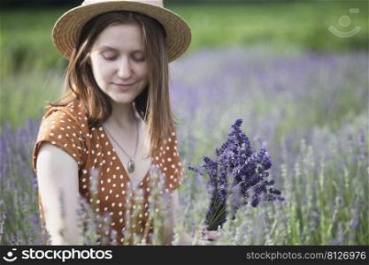Provence - a girl in a lavender field collects a bouquet of lavender 