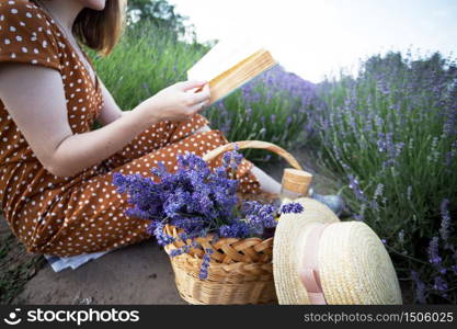 Provence - girl reading a book in a lavender field and basket with lavender in the foreground