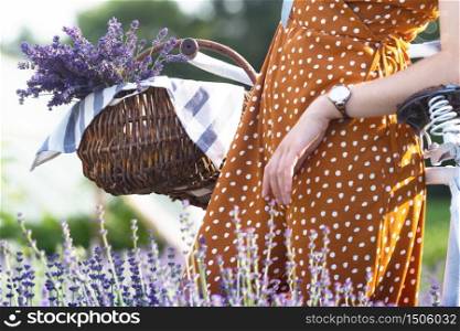 Provence - girl with a retro bicycle and a basket of lavender in a lavender field. France