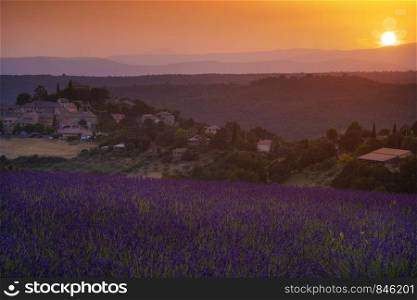 Provence lavender France