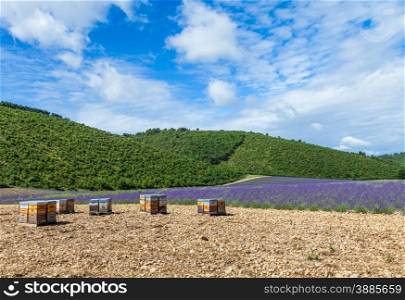 Provence, South France. Beehive dedicated to lavander honey production.