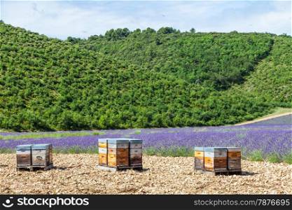 Provence, South France. Beehive dedicated to lavander honey production.
