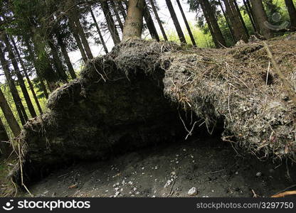 Province of Liege, Eupen, Belgium, Europe