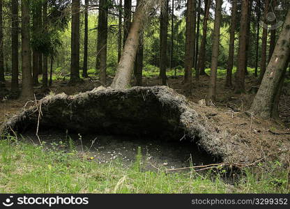 Province of Liege, Eupen, Belgium, Europe