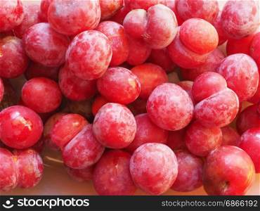 prune fruit food. plum prune (Prunus domestica) aka European plum fruit vegetarian food
