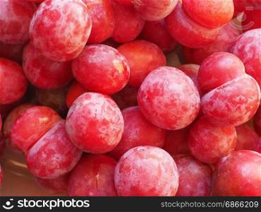 prune fruit food. plum prune (Prunus domestica) aka European plum fruit vegetarian food
