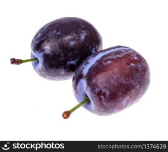 Prunes whole and cut, isolated on white background. Studio Photo. Prunes whole and cut, isolated on white background