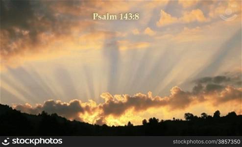 Psalm 143:8 Bible verse written with light.