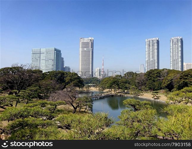 Public park with partial Tokyo skyline including tower during bright spring day with blue sky in background.