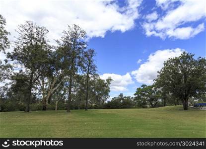Public recreational park with a large green lawn and many trees under a beautiful cloudy blue sky in Inglewood, Southern Queensland, Australia
