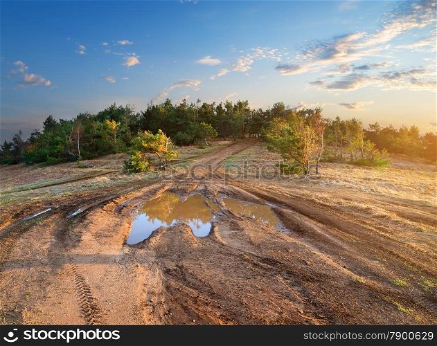 Puddle on a country road to mountain forest