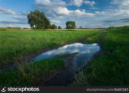 Puddle on the dirt road on a green meadow with trees, Nowiny, eastern Poland