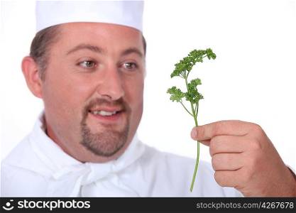 puffy male cook is holding a sprig of parsley