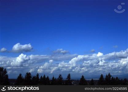 Puffy White Clouds In Blue Sky Over Forest