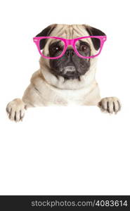 Pug Dog with blank billboard. Dog above banner or sign. Pug dog with glasses over white background