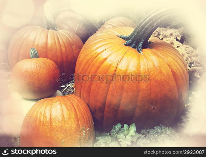 pumpkin