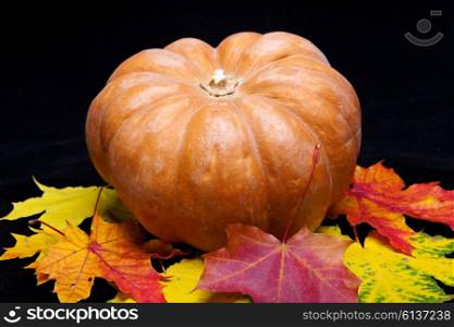pumpkin and maple leaves on dark background