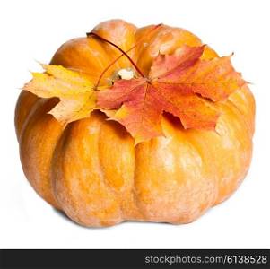 pumpkin and maple leaves on white background