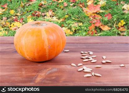 Pumpkin and pumpkin seeds on a wooden table. Yellow pumpkin and seeds on the table. Rear natural background