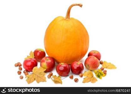 Pumpkin, apples and hazel isolated on white background