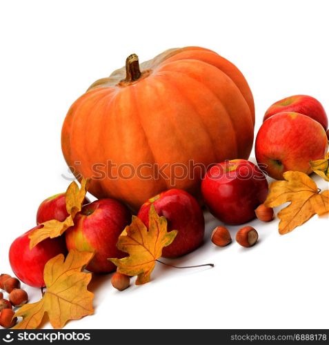 Pumpkin, apples and hazel isolated on white background